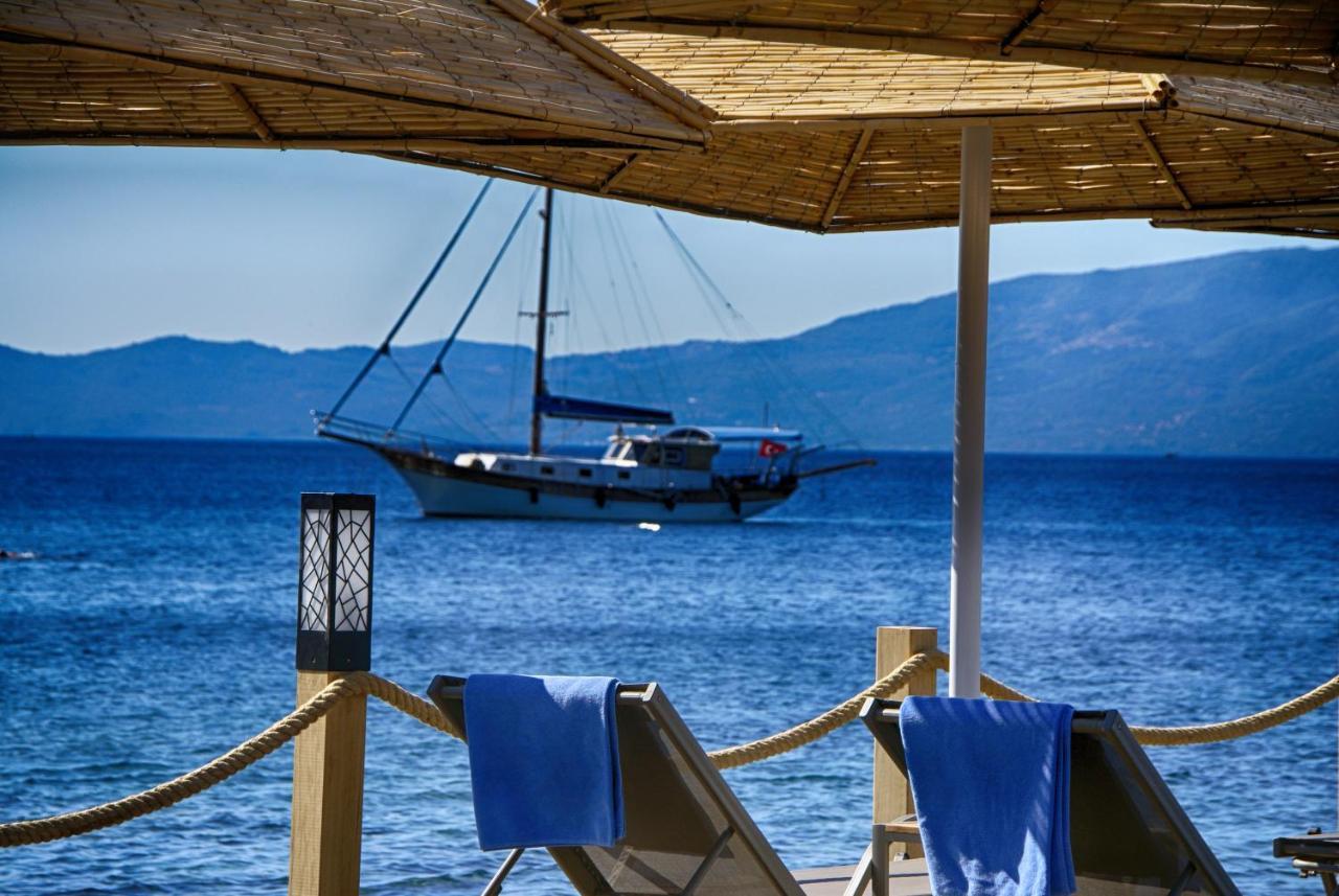 Assos Dionysos Special Class Hotel Adults Only 12 Years Exteriér fotografie