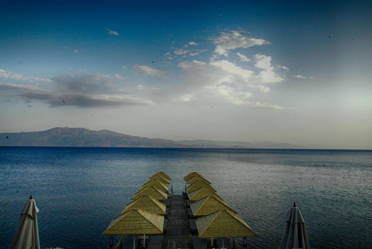 Assos Dionysos Special Class Hotel Adults Only 12 Years Exteriér fotografie