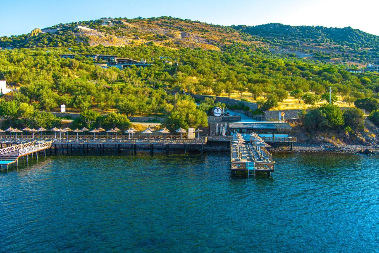 Assos Dionysos Special Class Hotel Adults Only 12 Years Exteriér fotografie