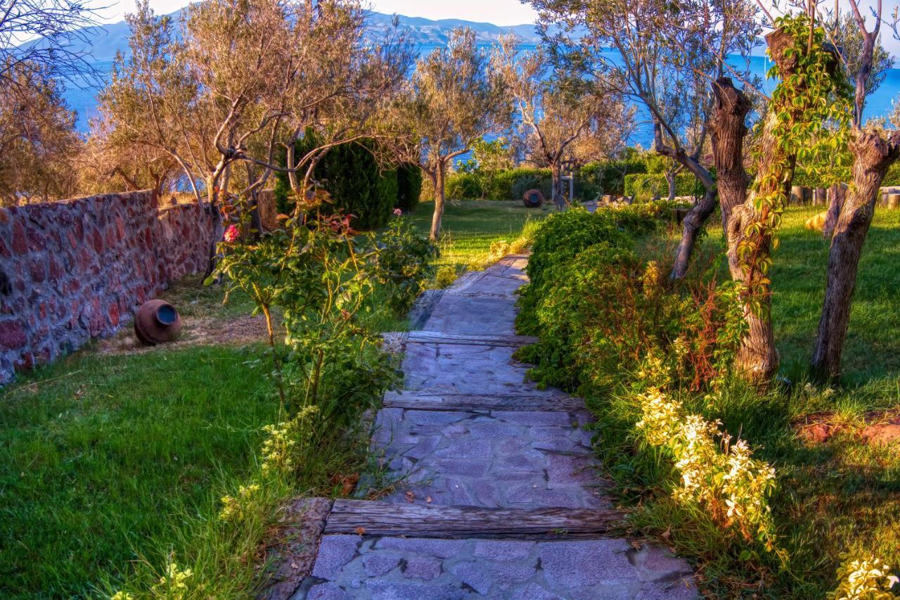 Assos Dionysos Special Class Hotel Adults Only 12 Years Exteriér fotografie